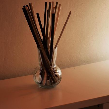 Apartment Dalla Mirella Florence Ngoại thất bức ảnh